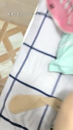 预览图8