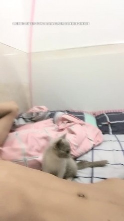 预览图10