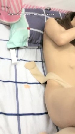 预览图14