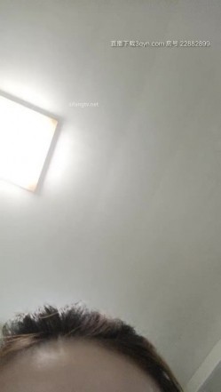 预览图5