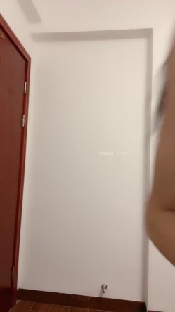 预览图5