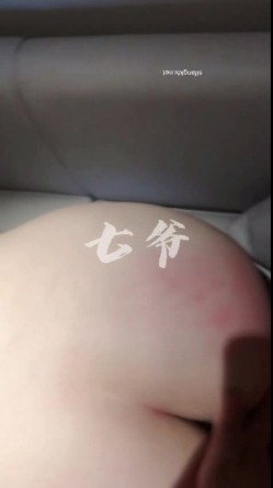 预览图12