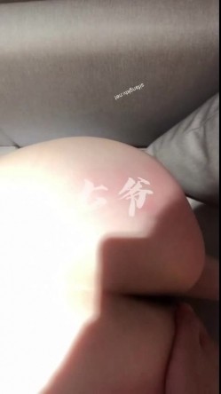 预览图13