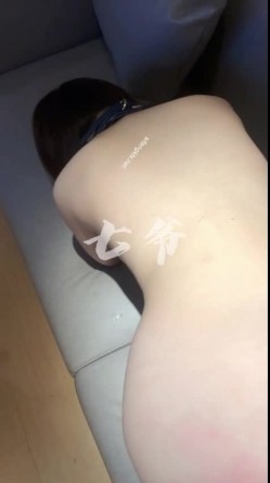 预览图14