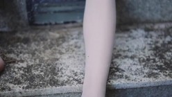 预览图12