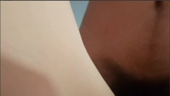 预览图5