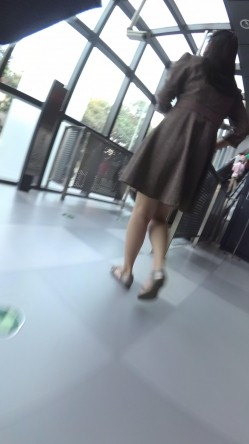 预览图7