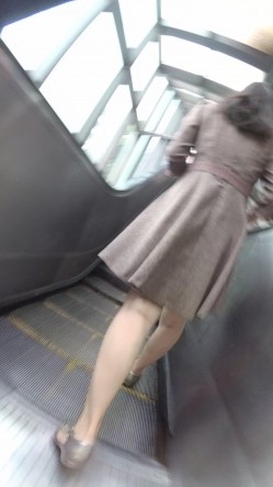 预览图8