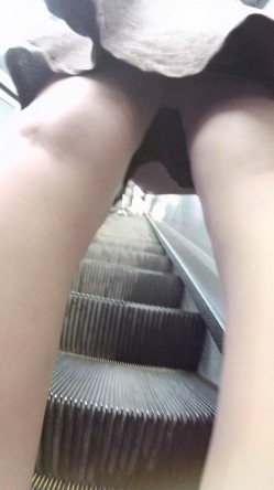 预览图11