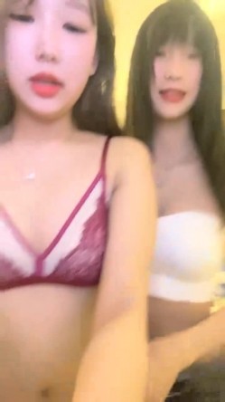 预览图6