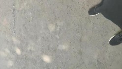 预览图11