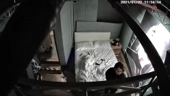 预览图16