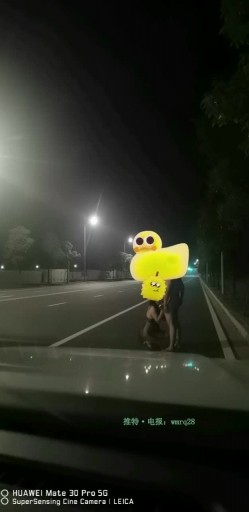 预览图7