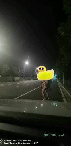预览图8
