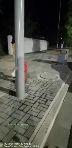 预览图11