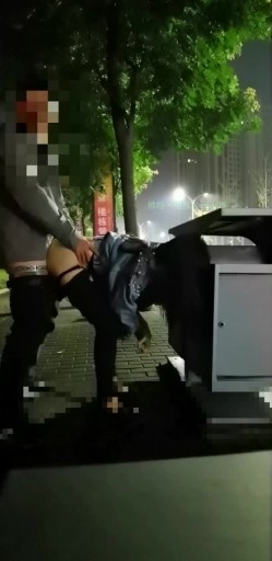 预览图14
