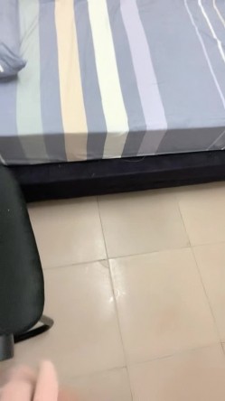 预览图15