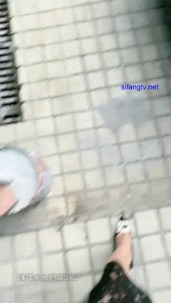 预览图4