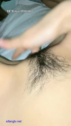 预览图16