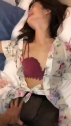 预览图4