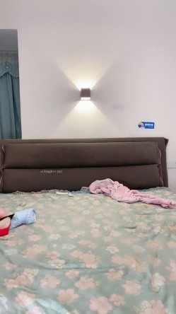 预览图2