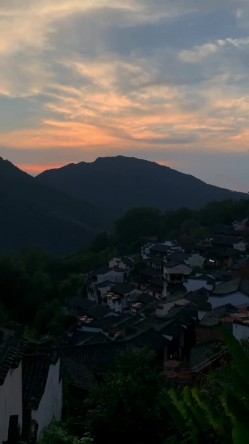 预览图4