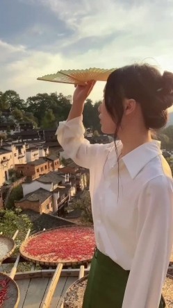 预览图7