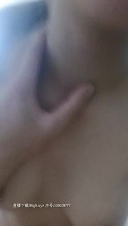 预览图5