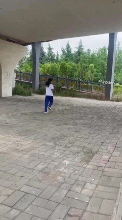 预览图12