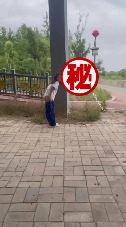 预览图13