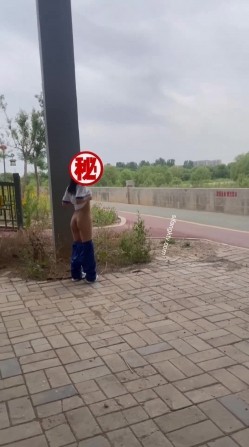 预览图14
