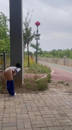 预览图15