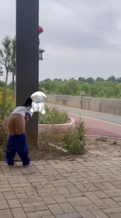 预览图16