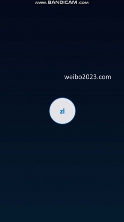 预览图11