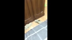 预览图16