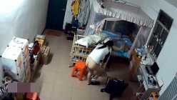 预览图13
