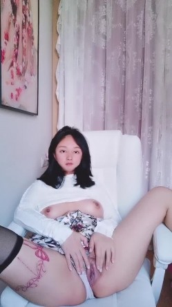 预览图15