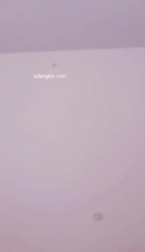 预览图4