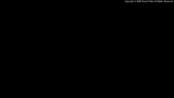 预览图6