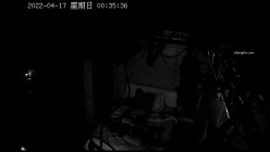 预览图12