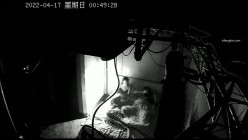 预览图15