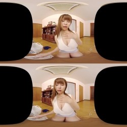 预览图9
