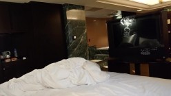 预览图16