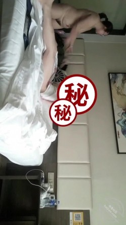 预览图5