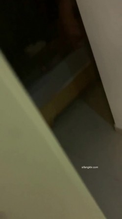 预览图13