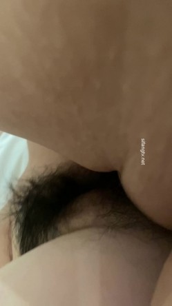 预览图11