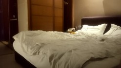 预览图9
