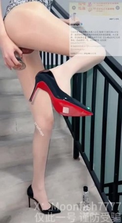 预览图7