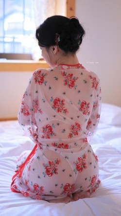 预览图3