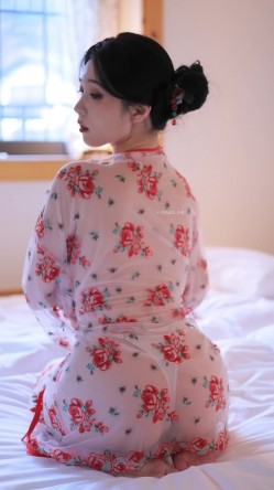 预览图4